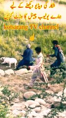 Wild boar hunting with dog||soor Ka Shikar