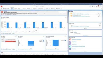 Salesforce Introduction