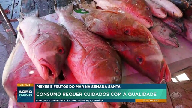 Veja dicas de como escolher peixes e frutos do mar para a Semana Santa