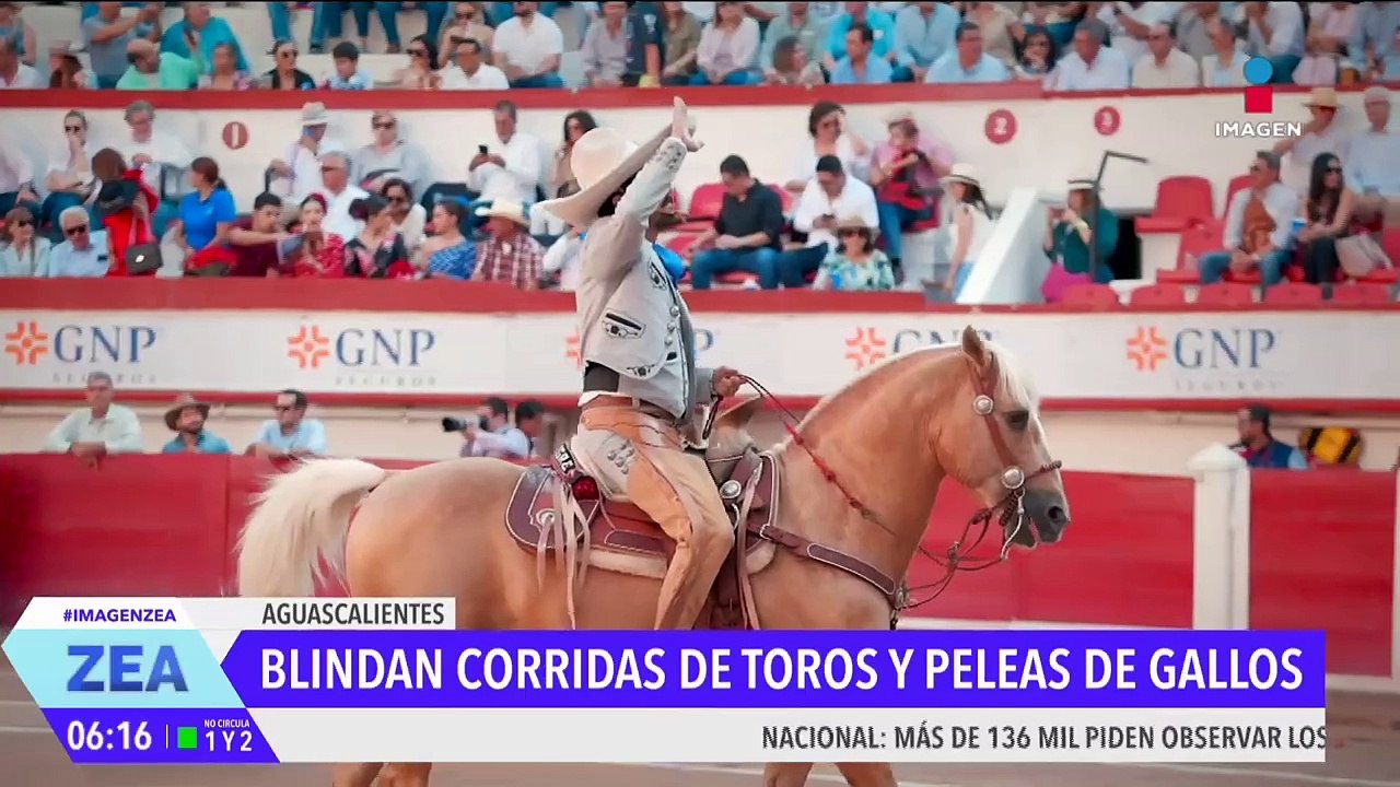 Blindan las corridas de toros y las peleas de gallos en Aguascalientes