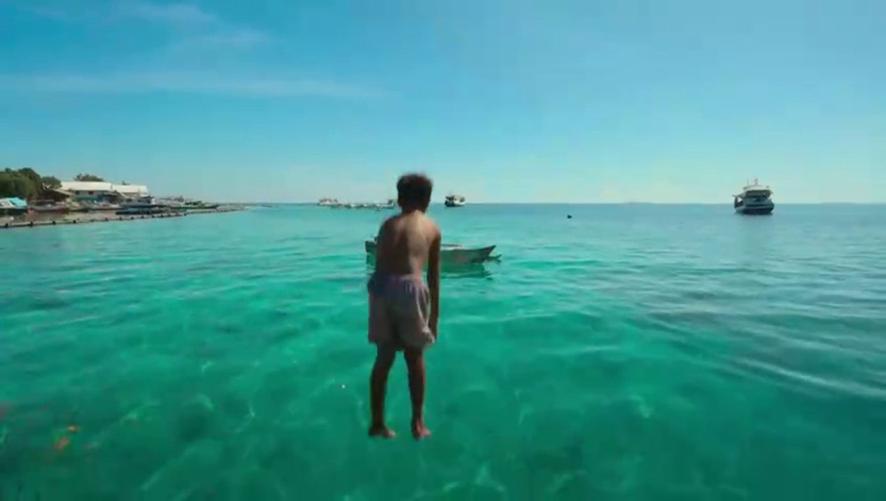 Reef Builders Trailer OV