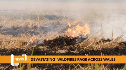 Wildfires driving rare eco-systems to ‘extinction’