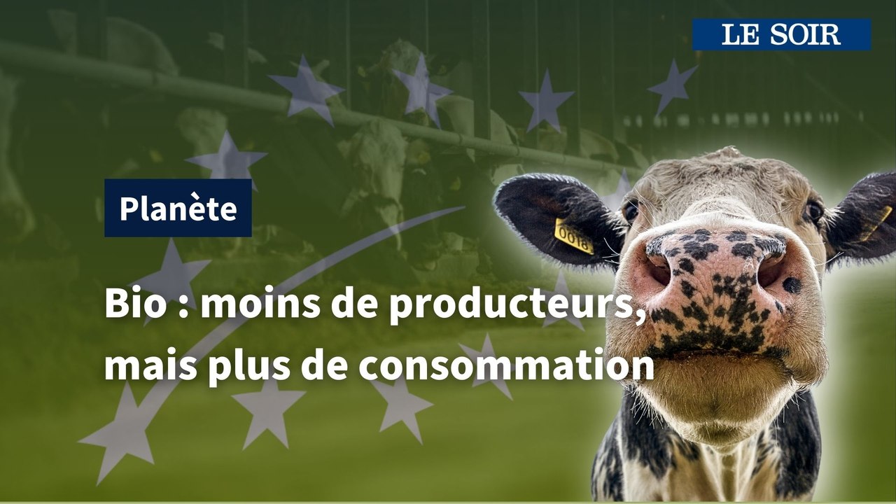 Pourquoi y a-t-il moins de producteurs bio en Wallonie alors que la consommation de produits bio augmente ?