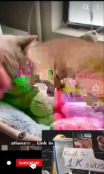 Just shorts videos 😜 #shorts #viralvideos #trending #funnyshorts #shortsfeed #memes #funny #anime