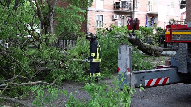 Maltempo, albero crolla su un camper in sosta a Ferrara