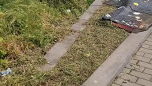 Portici (NA) - M5S: caduta di parti di vecchia guaina (17.04.25)