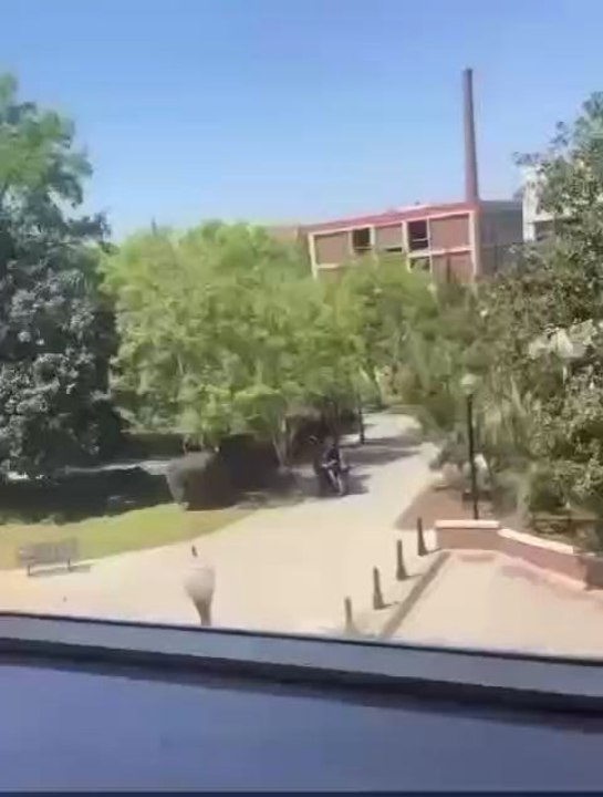 ⚠️INFO : TIR À L'UNIVERSITÉ D'ÉTAT DE FLORIDEDes coups de feu ont retenti près du bureau des étudiants, et des victimes sont visibles en train d'être transportées par les ambulanciers et la police.Victimes actuellement transportées.