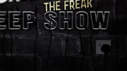 Celebrity Look-alikes