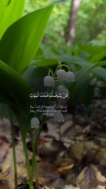 Surah As-Sajda 32 11 - سورہ السجدہ