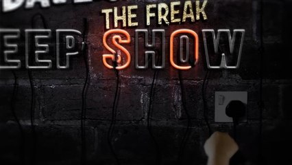 Emotional Support Alligator