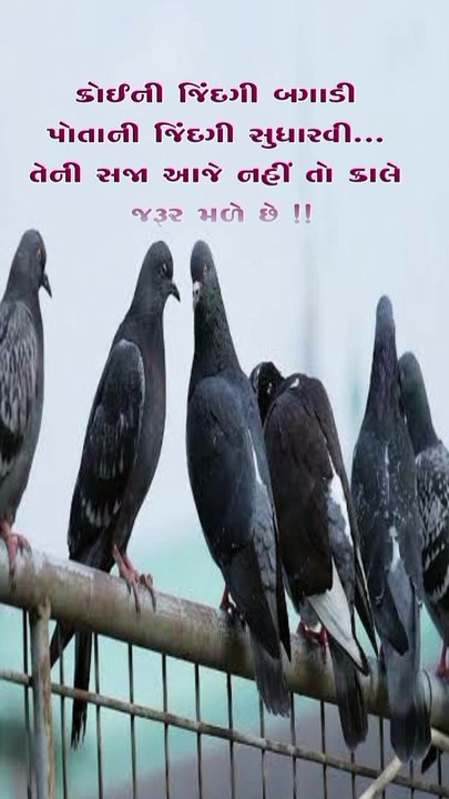 Gujarati suvichar  1