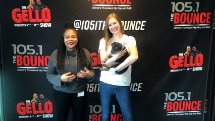 Doggy Dog Thursday: Finn