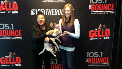 Doggy Dog Thursday: Mr. Gomez