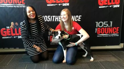 Doggy Dog Thursday-Simon