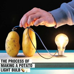 Thomas Edison would have been so proud of us🥹