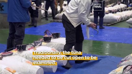 This new AI-powered ultrasound machine can tell how tasty a tuna is in just 12 seconds