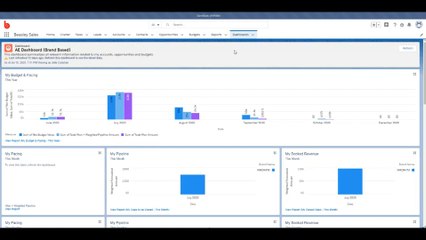 Dashboard Reports & Filters
