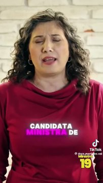 INE confirma que campañas judiciales polémicas no violan la ley por falta de regulación