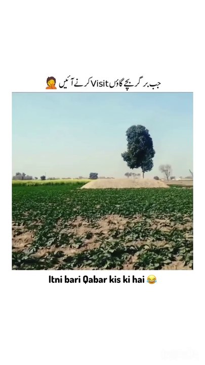 شہر کے لوگ جب گاؤں جاتے ہیں 🇵🇰🇵🇰🤣💥😘