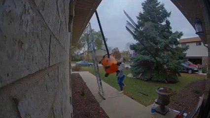 Security Camera Shenanigans