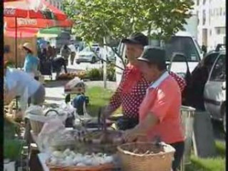Mercado de A Veiga-Vegadeo 2008