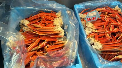 17 avril TOPO AD Crabe des neiges pêche prix élevés