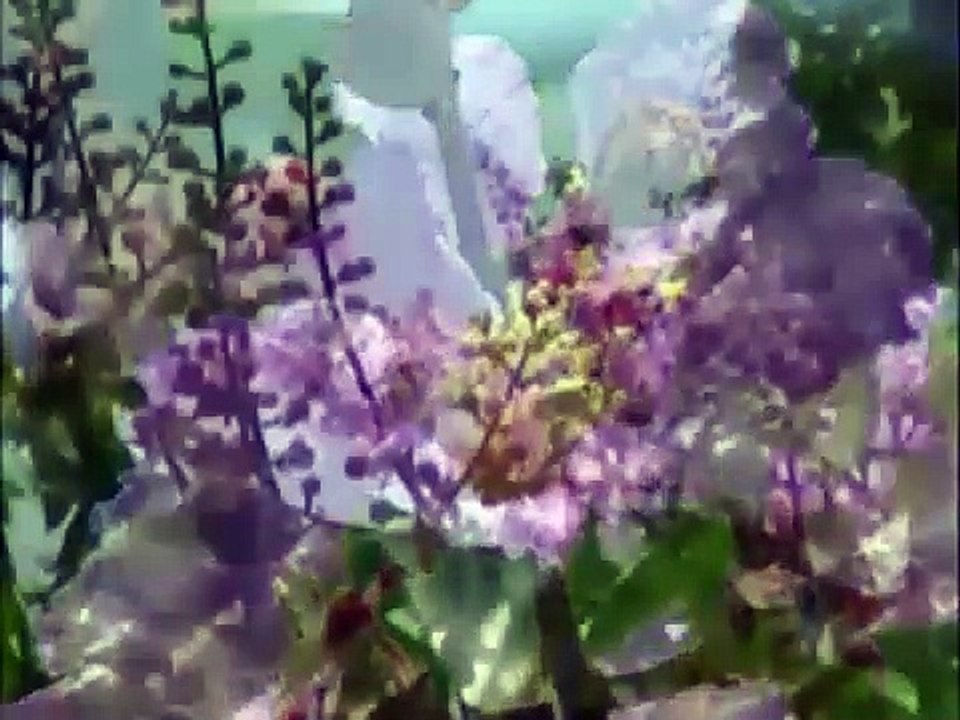 Thành nam Nỗi Nhớ - Trọng Tấn