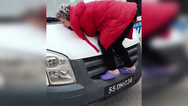 Sahipsiz hayvanları toplayan zabıta görevlilerinin aracına çıktı! Kadını polis zor ikna etti, olay anı kamerada