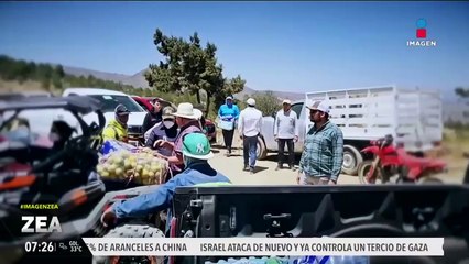 Incendio arrasa con cientos hectáreas de bosque en Libres, Puebla