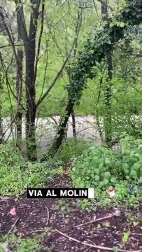 Collegno - Dopo due giorni intensi sul fronte delle precipitazioni atmosferiche (17.04.25)