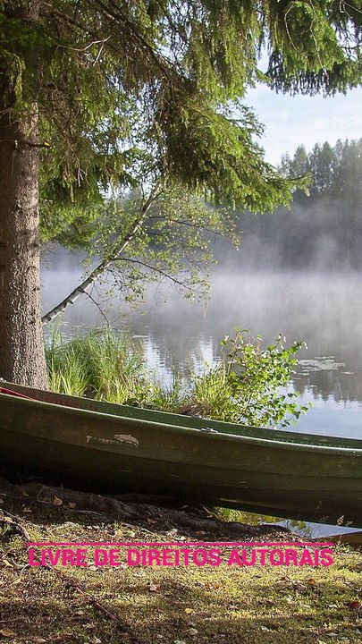 ✅💘Música relaxante Reiki, Yoga, sono, meditação- Música para relaxar e dormir- Fragmentos #62