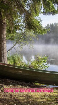 ✅💘Música relaxante Reiki, Yoga, sono, meditação- Música para relaxar e dormir- Fragmentos #62