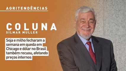 Soja e milho fecharam a semana em queda em Chicago e dólar no Brasil também recuou, afetando preços internos