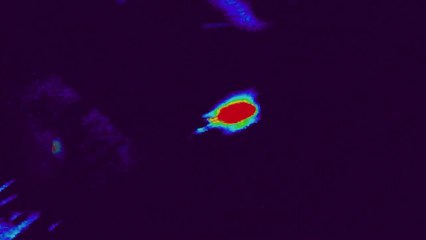 Anam Gu Anam - Thermal Hermit