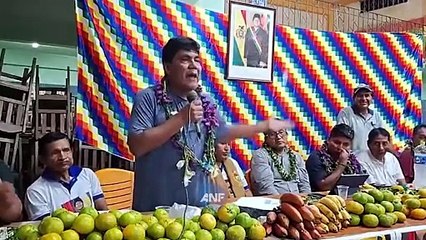 diputado Héctor Arce