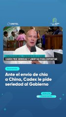 Ante el envío de chía a China, Cadex le pide seriedad al Gobierno