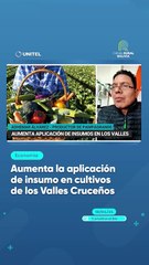 Aumenta la aplicación de insumo en cultivos de los Valles Cruceños