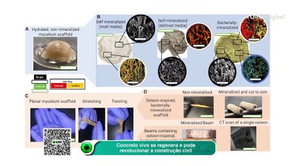Concreto vivo se regenera e pode revolucionar a construção civil
