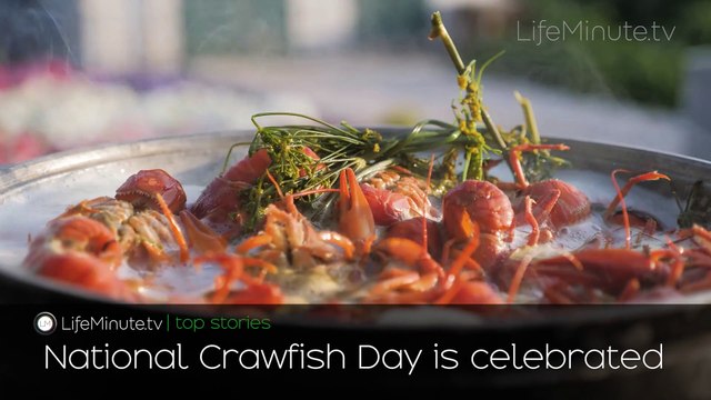 Nate Bargatze to Host the 77th Emmy Awards, Michelle Trachtenberg's Cause of Death Revealed, National Crawfish Day and National High Five Day are Celebrated