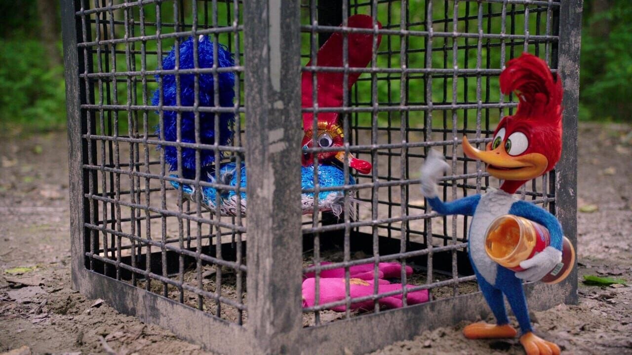 Woody Woodpecker, le film