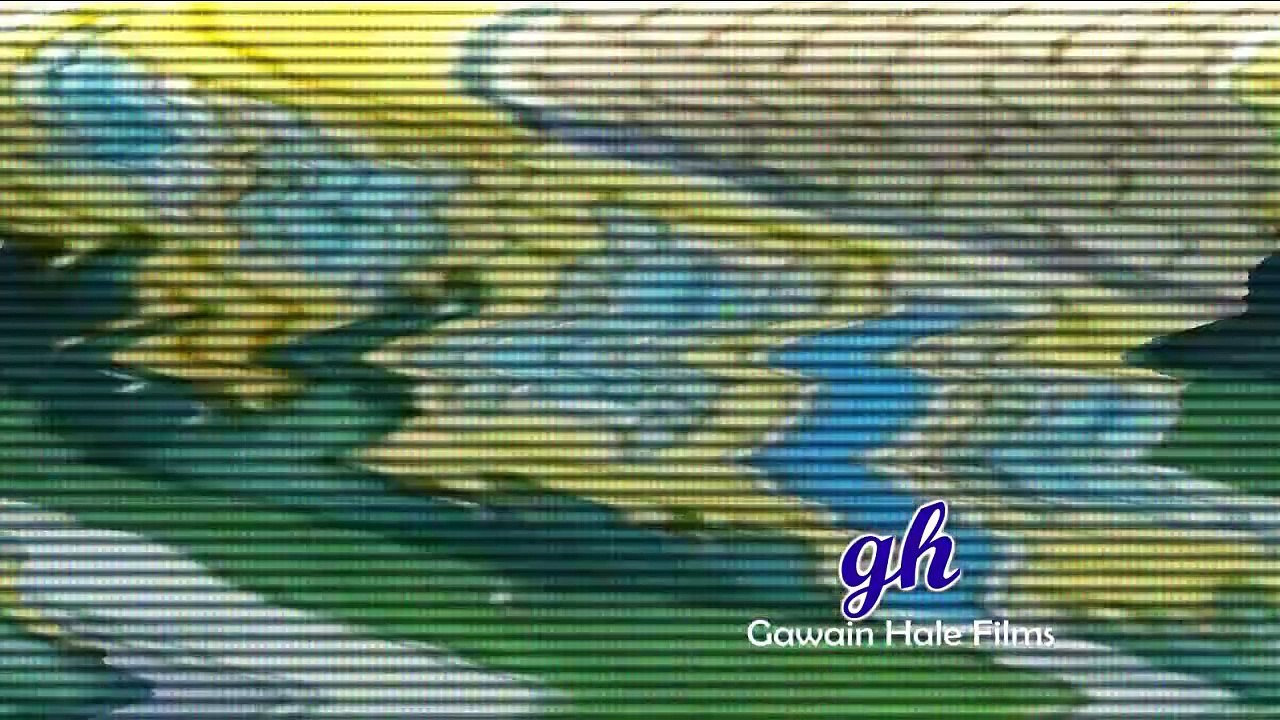 YTP: Garfield joins the POE by mistake (Collab Entry)