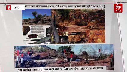 સફેદ રણ, ધોળવીરા જ નહીં... કચ્છમાં ફરવા માટે આટલા બધા સ્થળો, ટૂરનું પ્લાનિંગ હોય તો ખાસ જાણી લો