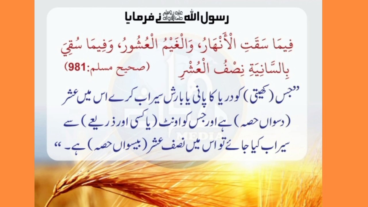 فصل پر عشر کیا ہوتا ہے حدیث شریف