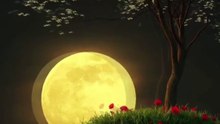 🌕🌌 Full Moon Night – A Magical View Under the Stars ✨🌙