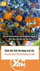 Cách dân tình tận dụng trái cây để không thể bỏ phí