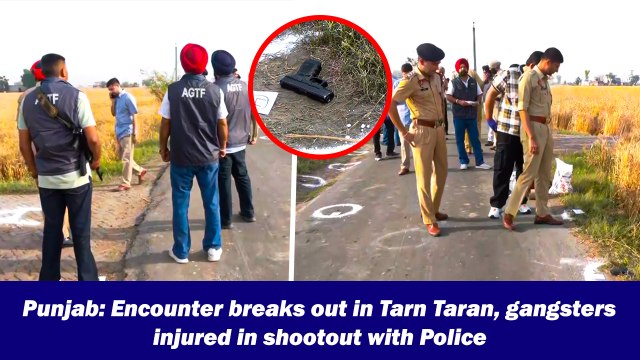 Punjab: Encounter breaks out in Tarn Taran, gangsters injured in shootout with Police