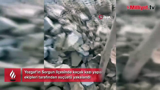 Yozgat'ta define avcılarına suçüstü! Ne yapacaklarını şaşırdılar
