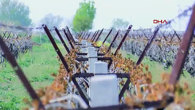 Bayraktar: Bunca emek bir gecede yok oldu