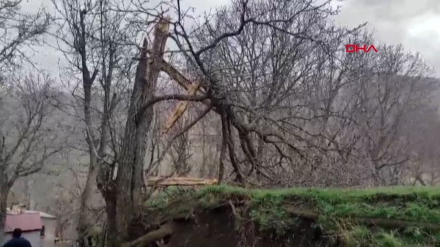 Van'daki fırtına felaketinde ağır bilanço: 50'den fazla ev, 10'dn fazla ağaç...
