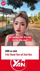 CĐM so sánh Trần Thanh Tâm với Xoài Non